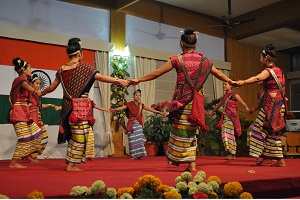 Cultural presentation of Miju Mishmi Tribe from Lohit District on the occasion of Communal Harmony-Our Pride, Our Strength�, at Darbar Hall, Raj Bhavan, Itanagar on 19th February 2016.